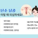 난소 물혹(낭종) 원인 증상 종양 치료 방법 이미지