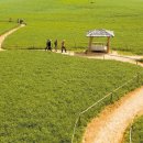 서해안 농장 이미지