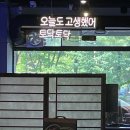 1995 햄전골 이미지