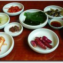 초원복국 Daum카페