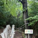 새울산유치원