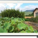 울산하늘공원 이미지