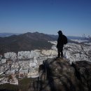 엄광산 동구경계 이미지