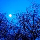 디아이플렉스 이미지