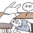 김포도그 이미지