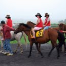 탐라승마장 이미지