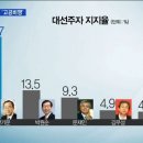 차기 대선 후보 여론 조사 1위 반기문 지지율 이미지