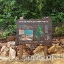 오랍드리 이미지