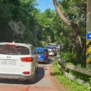 실미농장 이미지