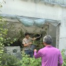 봉관농장 이미지