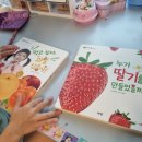 자연관찰 유아전집 아람 자연이랑 4세 활용법