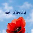 추억이야기