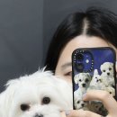 금쪽금쪽금쪽반려동물병원 이미지