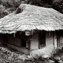 자연이숨쉬는집 이미지