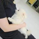 행복을 배우는 공간 이미지