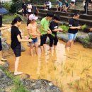 문흥초교 이미지