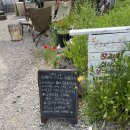 나리상회 이미지