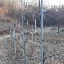 안고농장 이미지