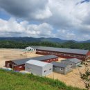 중원대학교 공공승마장 이미지