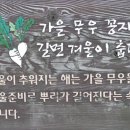 대화농업체험공원 이미지