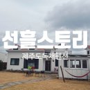 선흘아이 | 제주동쪽숙소 가족끼리 제주도 여행 추천 조용하고 럭셔리한 독채 &#34;선흘스토리&#34;후기 (feat. 토끼)