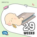 김떡순탕수육 | [임신 29+3] 내 심장의 색깔은 리토드린💉