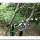 외연도6 이미지