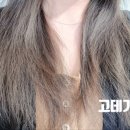 히트컴퍼니 | 손상모트리트먼트 추천 상한머리 복구 헹구지않는 트리트먼트 사용 후기