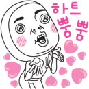 솜렌트카 이미지