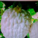 여주-0748 이미지