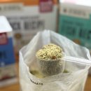 (주)지가디언 이미지