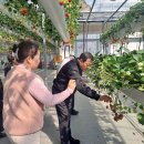 곤지암읍 이미지