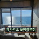 3969 | 인천 애견카페 강아지 동반 피카피오 을왕리본점 인천 애견카페 피카피오, 바다 뷰와 함께