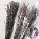 연보라(주) 이미지