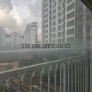 지에스25 거제자이점 | 거제 자이아파트, 유리창청소 미세방충망교체를 함께 하는 이유