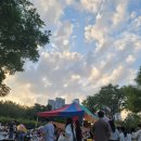 2025년9월27일 여의도 세계불꽃 축제 이미지