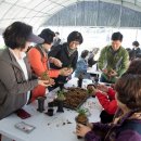 농협호암 이미지