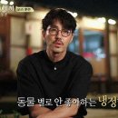 알프스안경 네이버블로그