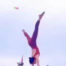 예인 Daum카페