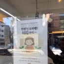 깜크 | 인덕원 도마뱀 분양 후기｜아이 원해서 방문한 안양 파충류샵 깜크 솔직 리뷰