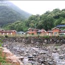 풀잎하우스 이미지