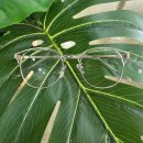 세인트옵티컬 이미지