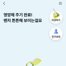 돈나무 | 케이뱅크 돈나무 키우기 리워드 후기! 매일 물 주고 돈 벌기
