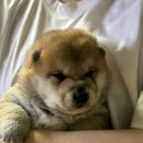 김천실내테니스장 & 김천오토캠핑장 이미지