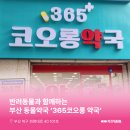 코오롱약국 이미지