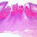 약손부부한의원 이미지