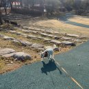 GS25양산호수점 이미지