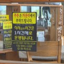 해안로2L | [제주/구좌] 제주도 맛집 곰막식당 메뉴 추천, 회국수, 성게국수, 한치물회 모두 맛도리!