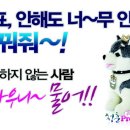 승리가야밀면 이미지