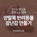 원데이클래스 강좌로 우리아이 애착 장난감 만들기 | 반려동물과 교감하며 함께 힐링해요! 양말목 장난감 만들기 클래스